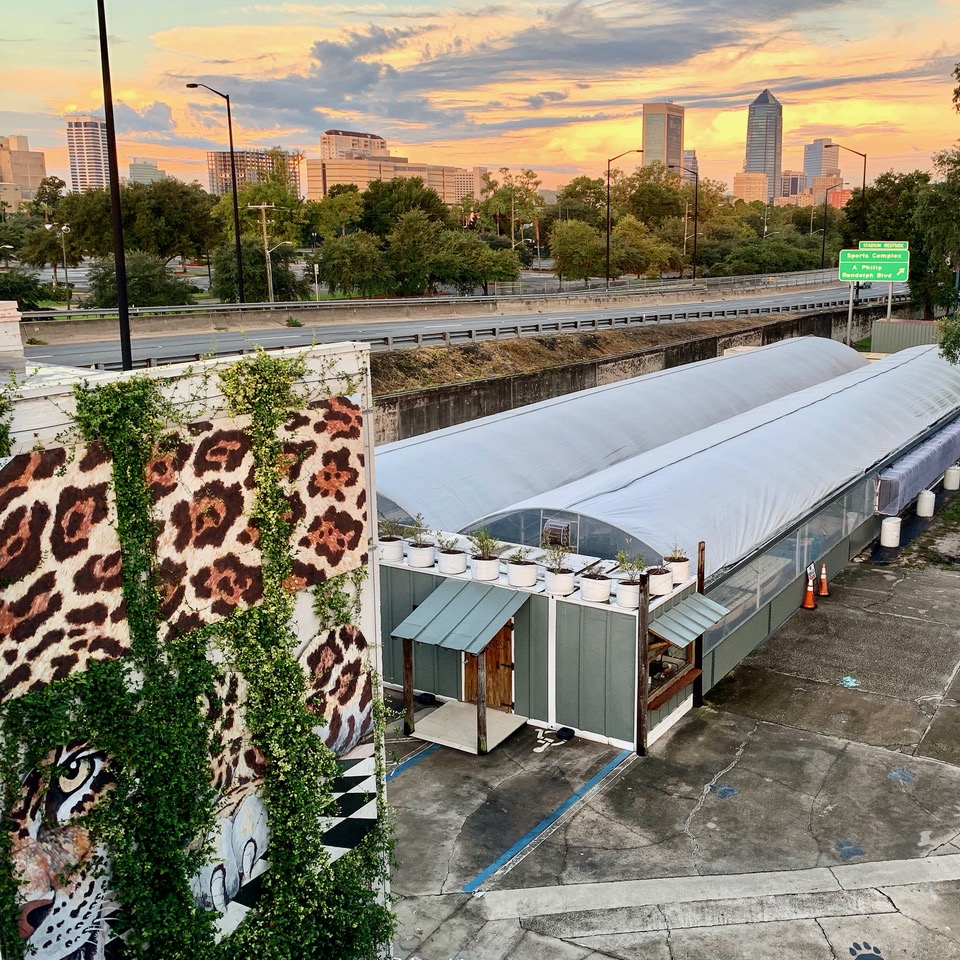 The original 2017 aquaponics greenhouses behind the Weaver Center at dusk, the downtown Jacksonville skyline behind them